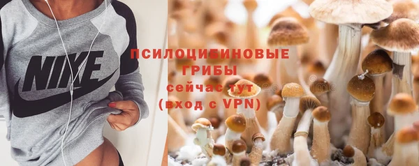 spice Няндома